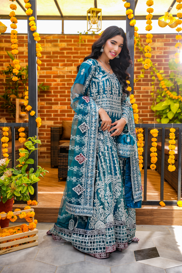 Powder Blue Sitare Elegant Embroidered Dress